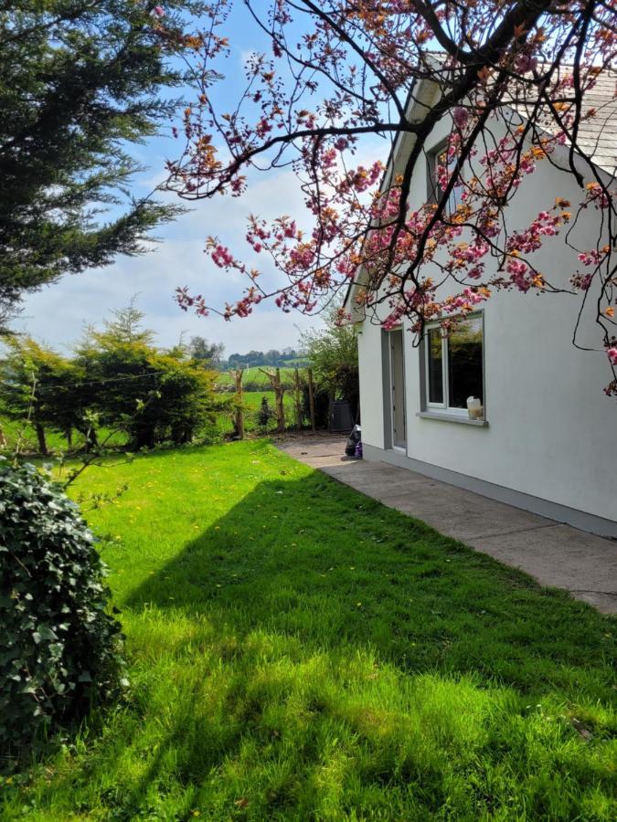 Beechwood House ,Apartment C15Ya44 Slane Eksteriør bilde