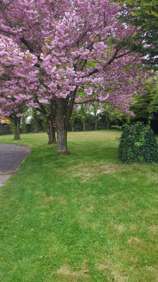 Beechwood House ,Apartment C15Ya44 Slane Eksteriør bilde