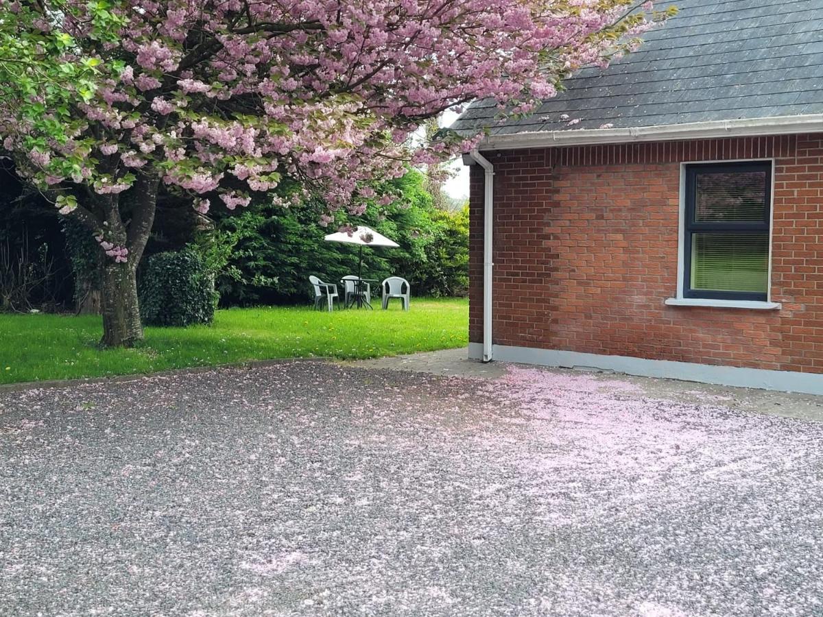 Beechwood House ,Apartment C15Ya44 Slane Eksteriør bilde