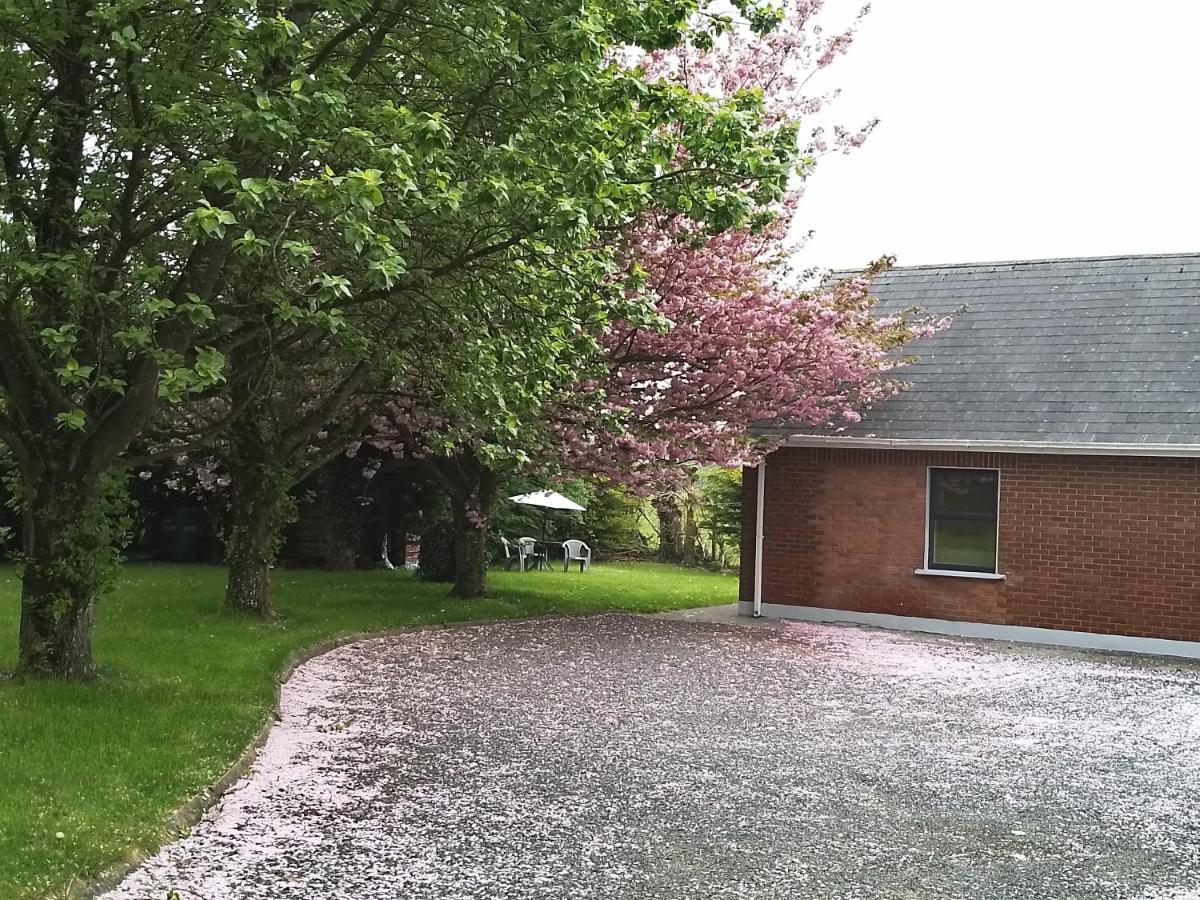 Beechwood House ,Apartment C15Ya44 Slane Eksteriør bilde